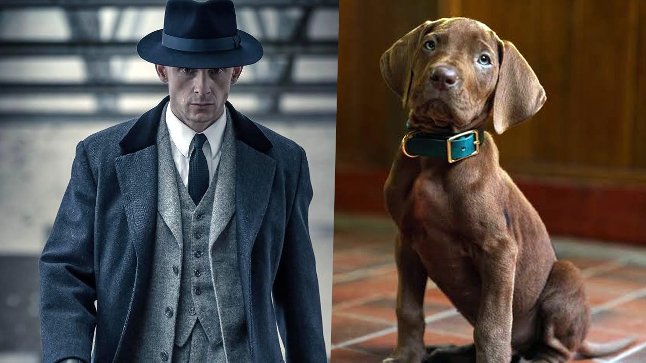 Netflix 2027: 20 series nuevas que llegarán al catálogo